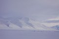 IMG_4262