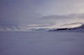 IMG_4268