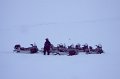 IMG_4317