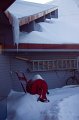 IMG_4383