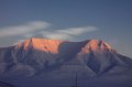 IMG_4387
