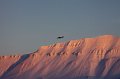 IMG_4391