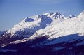 IMG_3785