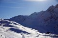 IMG_3801