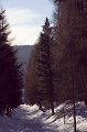 IMG_3860