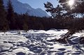 IMG_3866