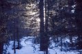 IMG_3872
