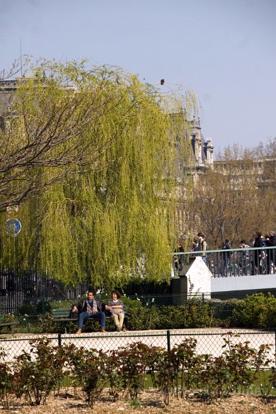 IMG 0798