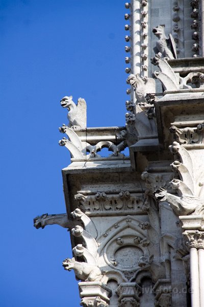 IMG 0920