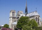 IMG_0796.jpg