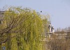 IMG_0798.jpg