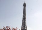 IMG_0869.jpg