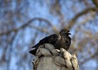 IMG_0898.jpg