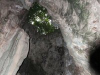 IMG 7456