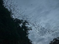 IMG 7488