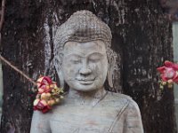 IMG 7652