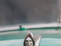 IMG 7771