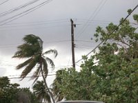 IMG 7775