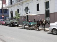 IMG 7817