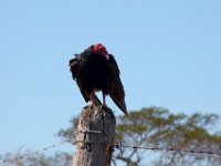 IMG 7853