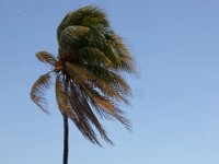 IMG 7859