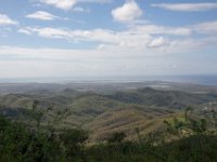 IMG 7901