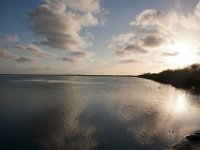 IMG 7994