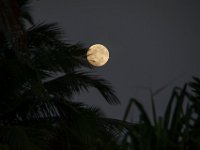 IMG 8022