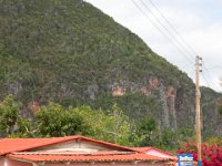IMG 8146