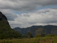 IMG 8242