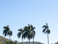 IMG 8328