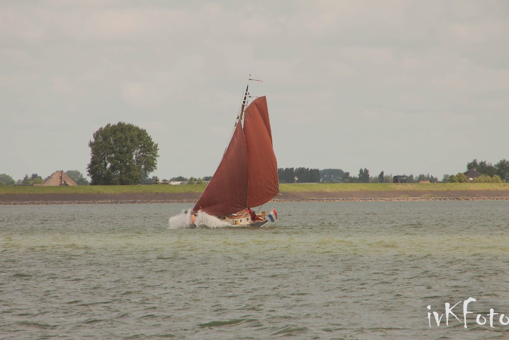 IMG 9555
