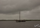 IMG 9428