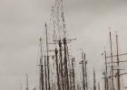 IMG 9431
