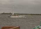 IMG 9445