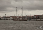 IMG 9455
