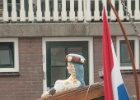 IMG 9467