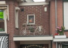 IMG 9475