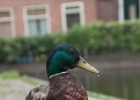 IMG 9478