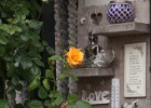 IMG 9490