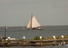 IMG 9512