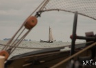 IMG 9539