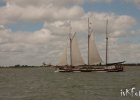 IMG 9543
