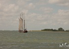 IMG 9547