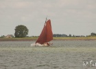 IMG 9555