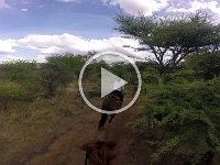 GOPR0306