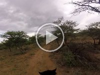 GOPR0374