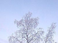 2G5B7366