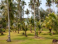 IMG 2253