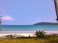 IMG 2256